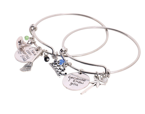 Wicked Inspired Charm Bracelet Friendship Set