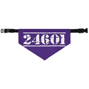 24601 Pet Bandana Collar
