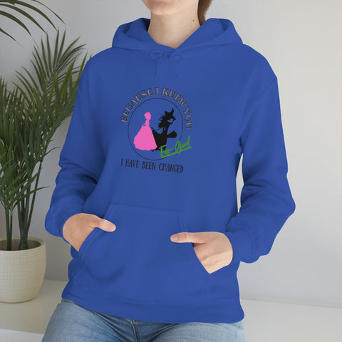 Wicked For Good by Laura Unisex Hoodie